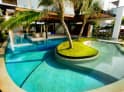 A pool and a palm
